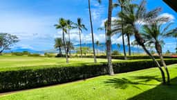 Remodeled one bd oceanview, AC, wifi, pool A101