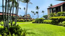 One Bd Grd Fl, wifi, pool, hot tub  B111