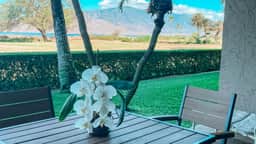 Remodeled One bd Ocean, AC,wifi, pool/hot tub D102