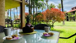 One Bd Grd Fl, AC, wifi, hot tub, pool  C108