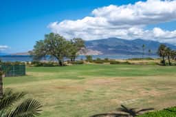 Remodeled One BD Ocean, AC,wifi, pool D202