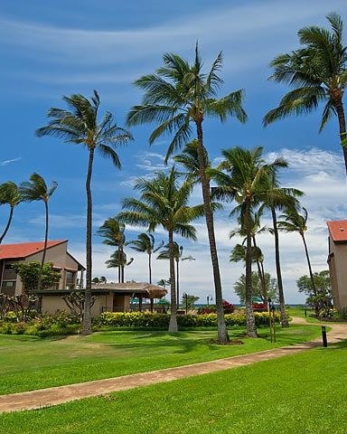 One Bedroom Vacation Rentals