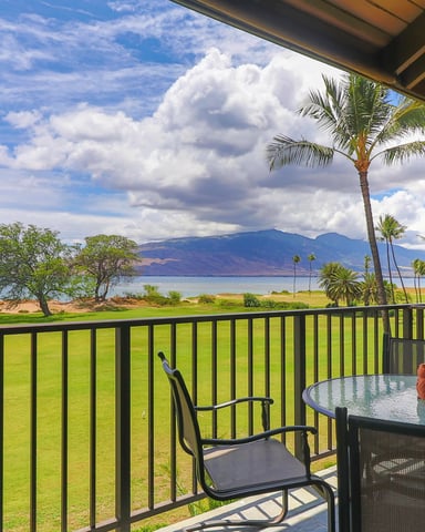 View All Rentals