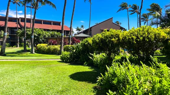 Two Bd Grd Fl, wifi, pool, hot tub  B112
