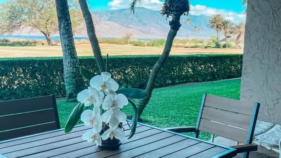 Remodeled One bd Ocean, AC,wifi, pool/hot tub D102