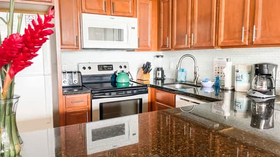 Two Bd Ocean View, Grd fl, AC, pool, hot tub D103