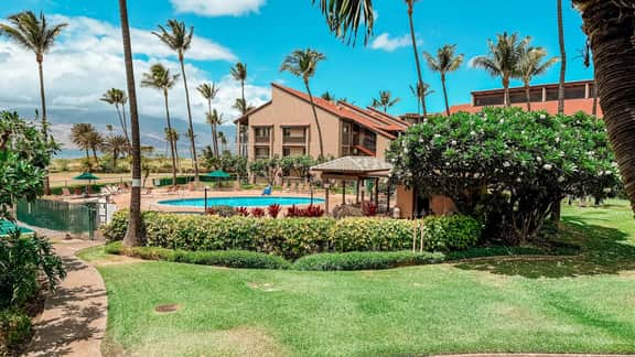 Remodeled 1 bd ocean view, AC,wifi, hot tub, pool C202
