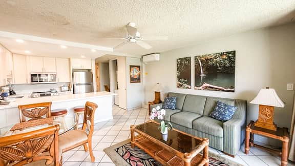 Remodeled 1 bd ocean view, AC,wifi, hot tub, pool C202