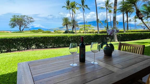 Remodeled one bd oceanview, AC, wifi, pool A101
