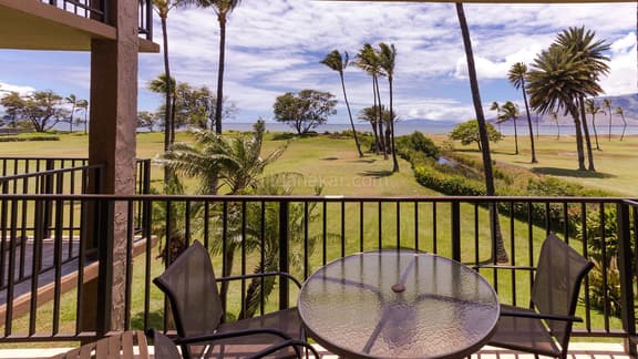 One Bd ocean view, Budget price, wifi, pool, A206