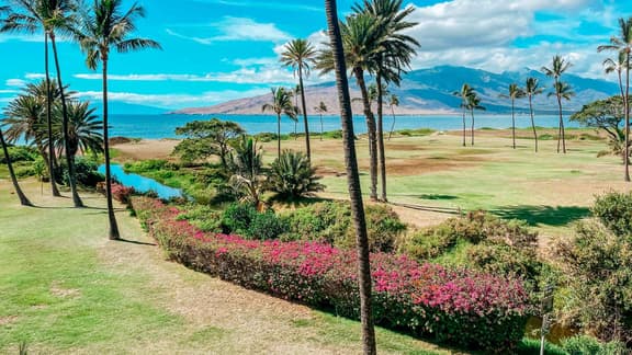 Two bd Ocean view. wifi. a/c. pool, hot tub A307