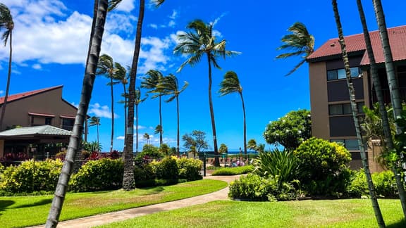 Gorgeous 1bd Grd Fl, AC,WiFi ,Pool, Hottub B110