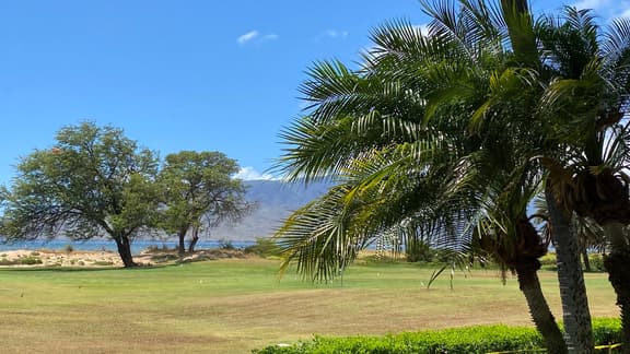 Two Bd Ocean View, Grd fl, AC, pool, hot tub D103