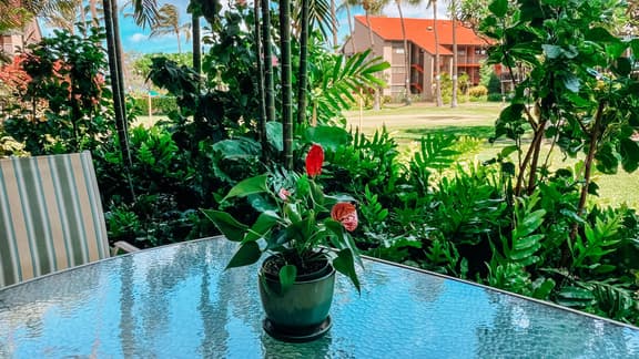 Two Bd Grd Fl, AC, wifi, Pool, Hot Tub  C110