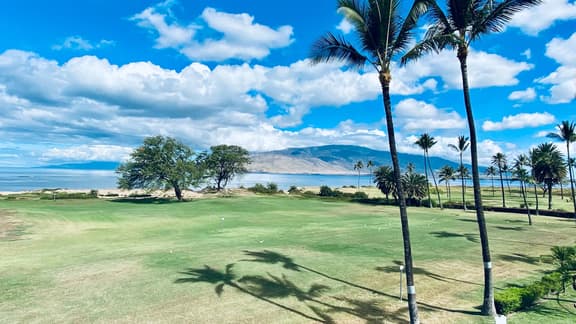 Two Bd Ocean view, AC, wifi, pool, hot tub, D307