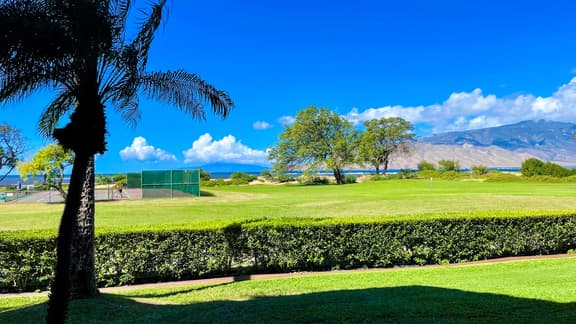 Gorgeous,2 bd, Ocean, AC,wifi,pool, hot tub D104
