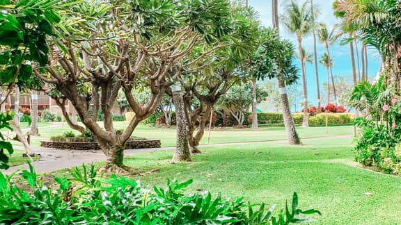 Two BD Grd fl, AC, Wifi, Pool, Hot Tub, B102