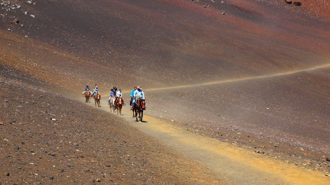 Maui Horse Back Riding