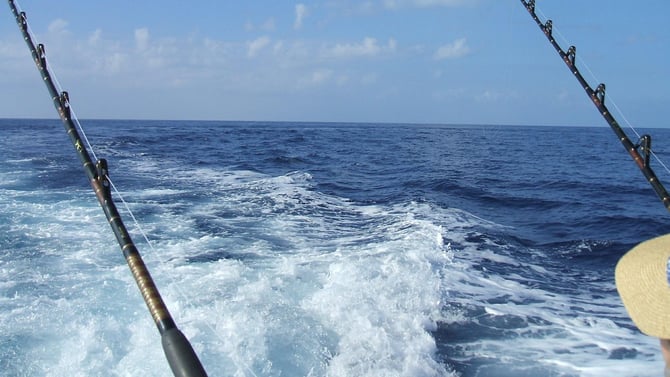 Maui Fishing Tours and Information