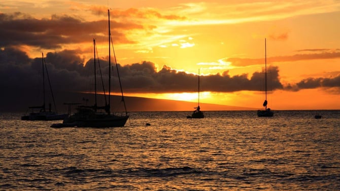 Maui Ocean Tours and Cruises