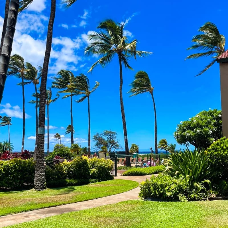 Gorgeous 1bd Grd Fl, AC,WiFi ,Pool, Hottub B110