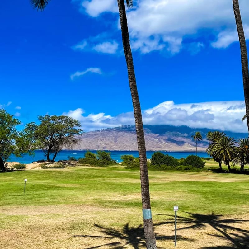 Stunning corner ONE bd Ocean,a/c,wifi,pool D207